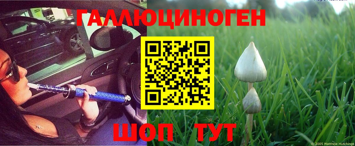 Псилоцибиновые грибы ЛСД  Вход с VPN  Галлюциногенные грибы ЛСД  сколько стоит  Тайшет 